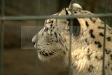 leipzig zoo-01_07_2011_zoo_allgemein_417